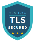 Encrypted Data in Transit